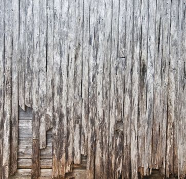 Destroyed plank of wood TEXTURE