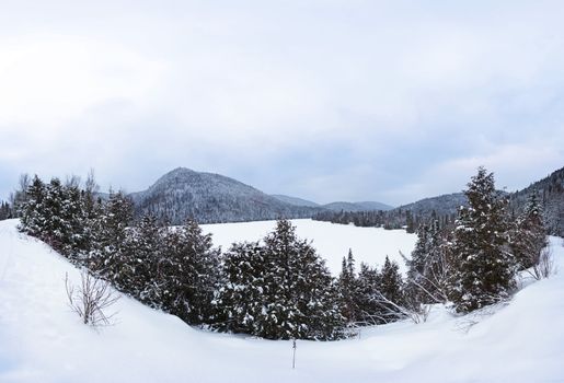 frozen lake during the winter