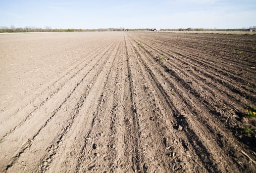 Cultivated land in the Spring