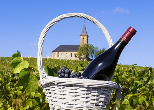 vineyards and churchin french country in summer