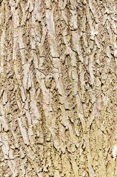 old, grunge wooden wall used as background