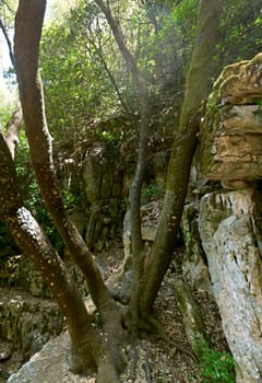 Mouth of the river dried up in the mountains in the north of Israel.