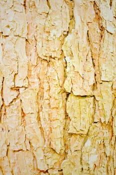 old, grunge wooden wall used as background