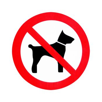 No dogs sign isolated on white background