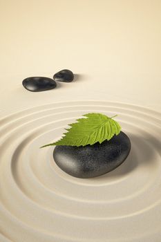 An image of a nice zen background with black stones and a leaf