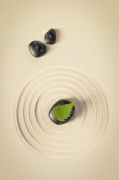 An image of a nice zen background with black stones and a leaf