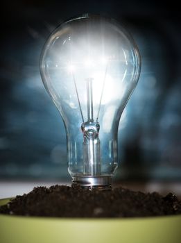 A light bulb in pot with soil