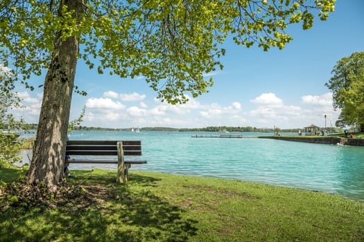 View to the lake Chiemsee with bench and tree on a day with sun, blue sky and white clouds