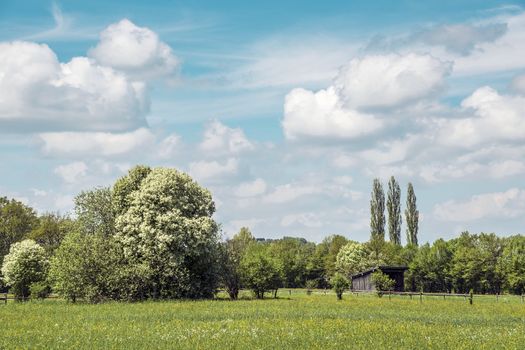 Meadows with blue sky, clouds and sun in Chiemgau, Germany