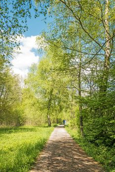 Recreation in light, green, bright nature in spring in Chiemgau, Germany