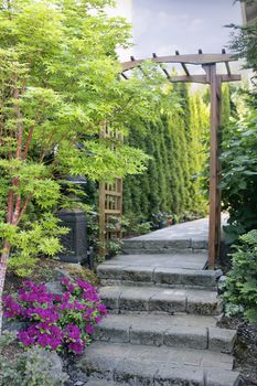 Pink Azaleas Blooming in Spring under Coral Bark Japanese Maple Tree Along Garden Path