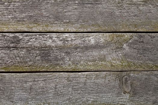 Wood background. Old planks texture. Top view