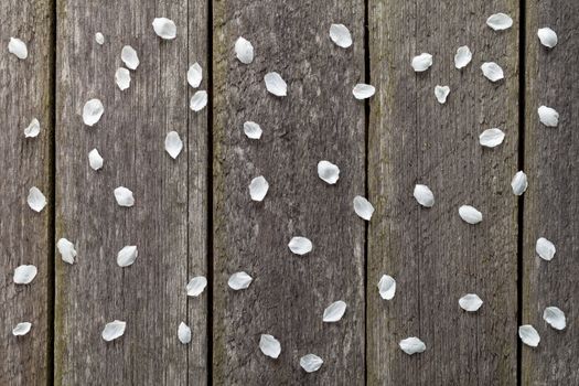 Spring blossom petals on wooden table background. Top view