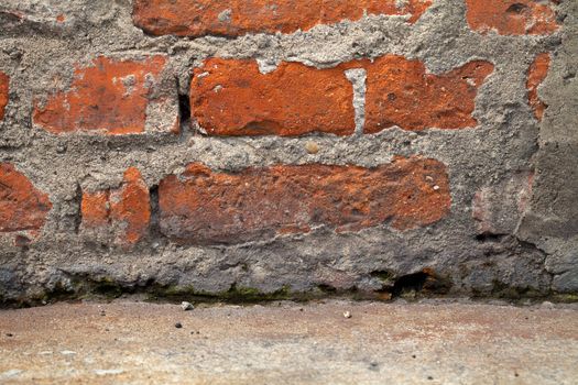 Brick wall texture for background. Macro shot 