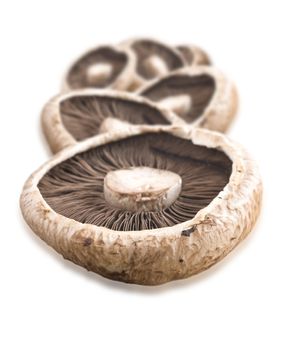 Healthy fresh mushrooms with very shallow depth of field