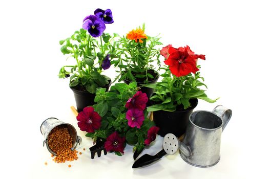 slow-release Fertilizer with flowers and garden tools on a light background