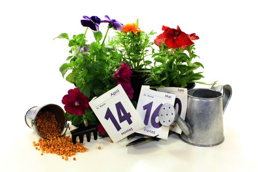 slow-release Fertilizer with flowers, leaves and garden tools, calendar on a light background