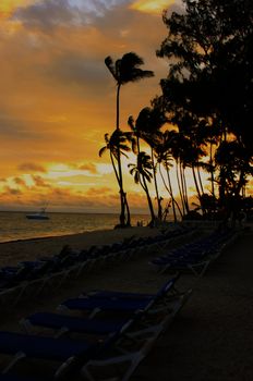 Silhouettes of palm trees on a tropical beach at sunrise