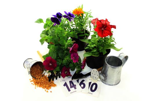 slow-release Fertilizer in the bucket with flowers and garden tools on a light background