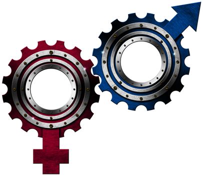Male and female signs isolated on white background - shaped gears
