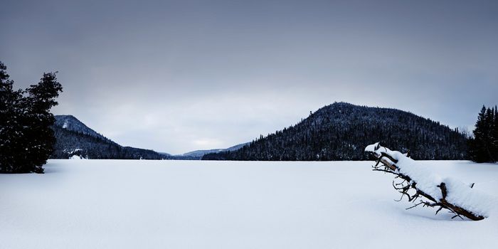 Beautiful landscape on a frozen lake
