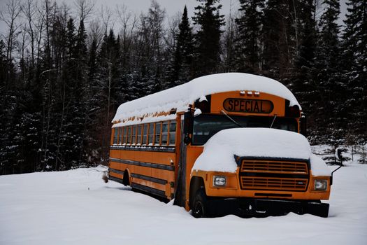 Abandoned weird school bus