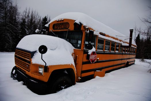 Abandoned weird school bus