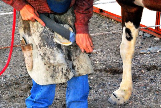 Farrier working on horse shoes on a ranch.