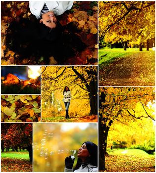 collage of autumn cards