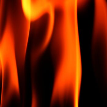 fire flame close up on black background