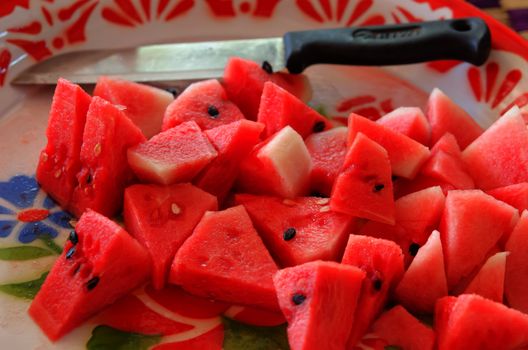 fresh slices of  red watermelon