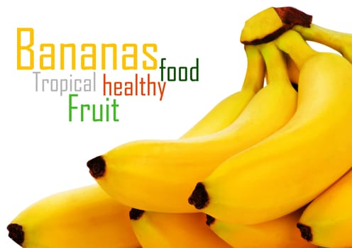 Bunch of bananas isolated on white background + Clipping Path