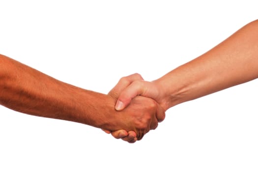 Closeup of people shaking hands isolated on white background