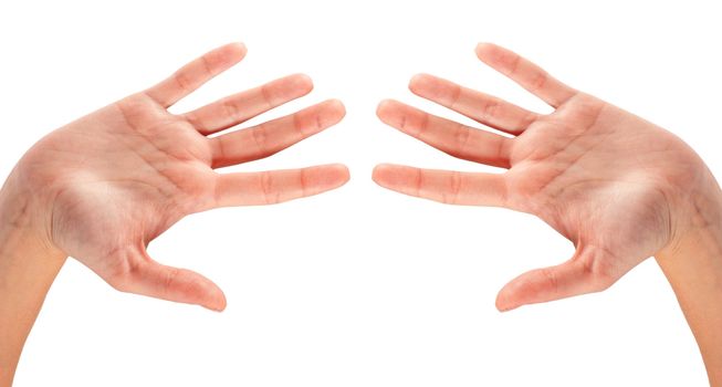 hand gestures isolated on a white