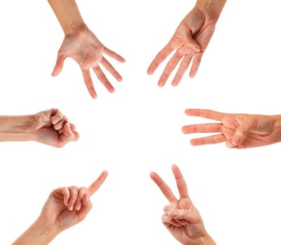 Counting woman hands (0 to 5) isolated on white background