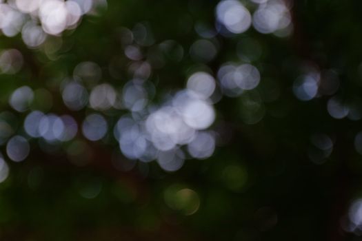 bokeh blurred out of focus background