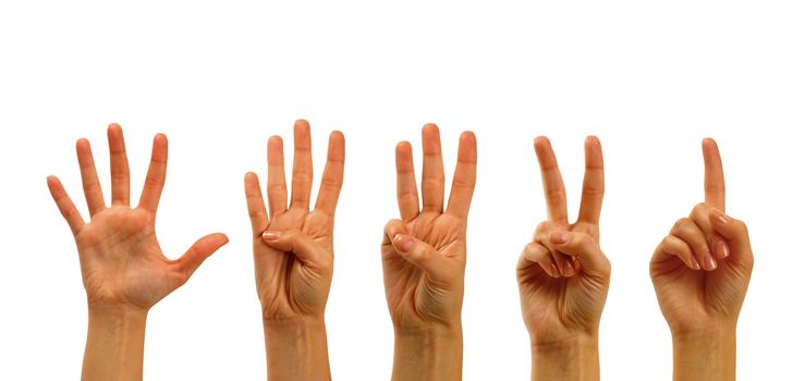 Counting woman hands (0 to 5) isolated on white background