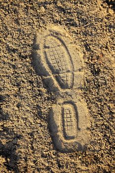 Footprint in dry soil
