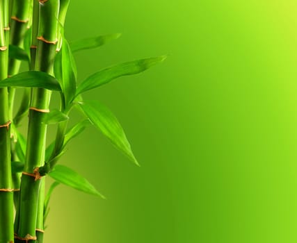 Bamboo background with copy space
