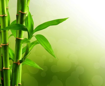 Bamboo background with copy space