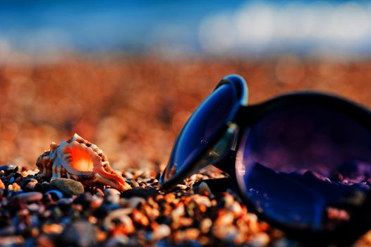 Sunglasses and shells lie on the shingle beach sea