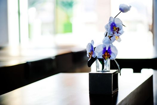 Decorative orchid flower standing on a table