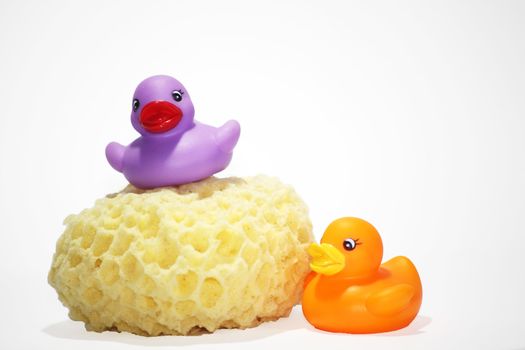 Two colored rubber ducks on a yellow bath sponge for baby