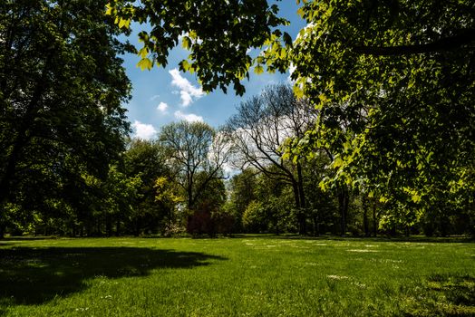 Park in a town in Germany near Munich with sun, green gras in spring.