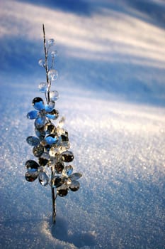 Isolated Crystal tree in the snow in a winter cold day