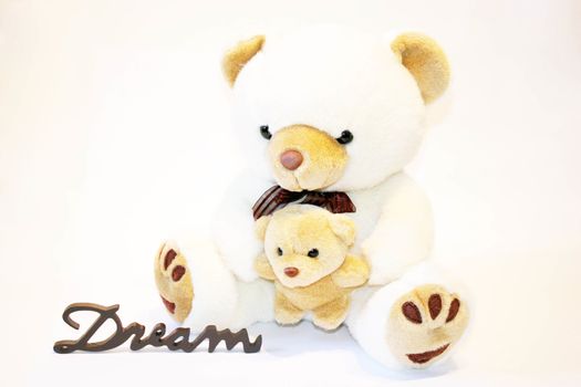 Cute teddy bear sitting on a white background whit the word dream