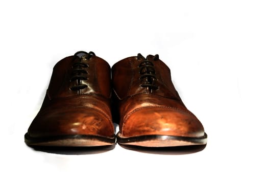 Close up of elegant beautiful brown shoes