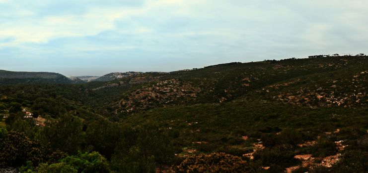 Hai-Bar Nature Reserve on Mount Carmel is a greenhouse for the restoration of historical flora and fauna of the region. Israel .