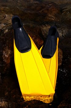 Yellow flippers on a rock and partly in the sea