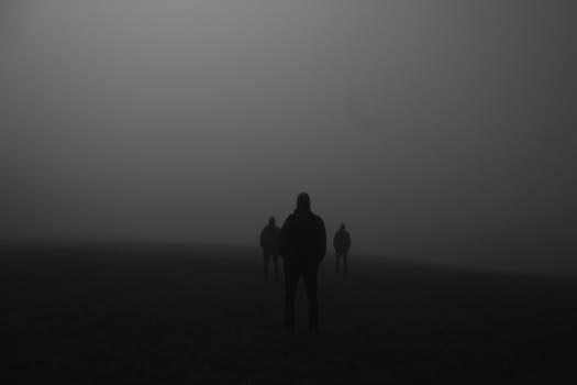 shadow of a group of people on a meadow in the night